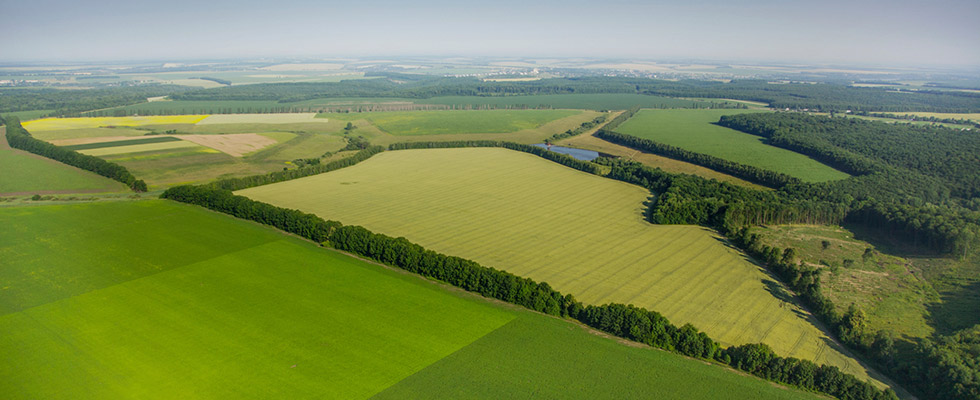 photo of agricultural area